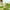 MINISO Disney Where’s the Rabbit? Series Blind Box Figure