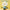 MINISO Minions 9-Inch Flower Costume Plush