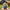 MINISO Mickey OOTD camping style figure with tent mountain background