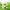 Running Stuart Minions Flower Garden collectible figure