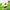 Stuart in flower costume Minions Flower Garden collectible figure
