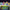 Miniso Buzz Lightyear full series figures bright background group photo