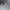 Miniso Toy Story Buzz Lightyear figures on metal stand scene shot