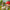 MINISO KUMARU Fairy Tale Town vinyl plush blind box characters displayed in an enchanted mushroom forest