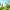 Miniso Teletubbies Magic Island blind box full set figures displayed on grass hill scene