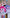 All 11 My Little Pony Magic Garden flocked plush keychain collectible styles including regular and secret editions