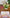 MINISO Winnie The Pooh Friends MINI full series character list poster