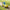 MINISO Stitch driving a yellow sports car sliding toy keycap