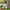 YOYO x Disney Pixar Toy Story 5 Growing Up Series figure inspired by Bo Peep