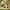 YOYO x Disney Pixar Toy Story 5 Growing Up Series figure inspired by Jessie