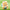 Bubble‑blowing Winnie The Pooh flocked figurine placed on natural green grass scene backdrop