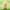 Winnie The Pooh figurine with blue ribbon wings, product display shot on green grass background