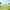 Complete full set of Winnie The Pooh butterfly figures displayed on fresh green grass field background