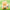 Winnie The Pooh figure with mini Piglet accessory arranged on lush green grass background